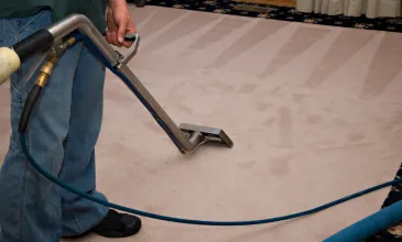Best Non-toxic Carpet Cleaner for Home